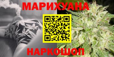 гашик Жуковский
