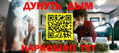 гашик Жуковский