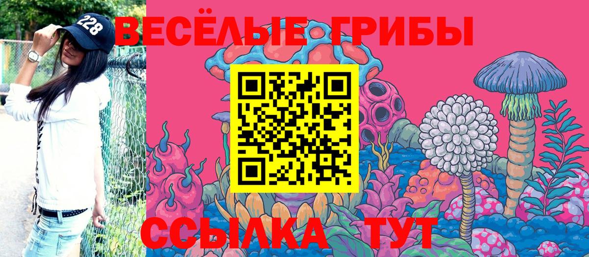 Галлюциногенные грибы Psilocybe Владимир